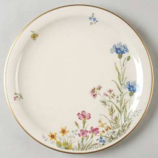Franconia   Krautheim Meadow Flowers Dinner Plate, Fine China Dinnerware   Diffe