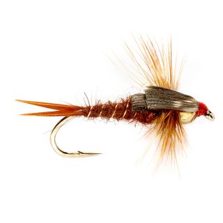 Tunghead Stonefly, Brown, 8