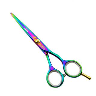 Professional Top Grade Color Steel Design Hairdressing Shears Scissor