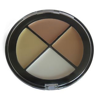 Natural Finish Concealer Makeup Palette NO.2 (4 Colors)