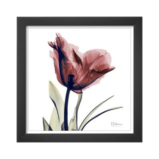 ART Single Tulip in Red Framed Print Wall Art