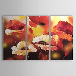 Hand painted Floral Oil Painting with Stretched Frame   Set of 3