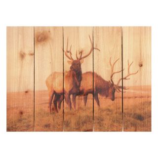 Gizaun Art Bull Elk Indoor/Outdoor Full Color Cedar Wall Art Multicolor   BE2216