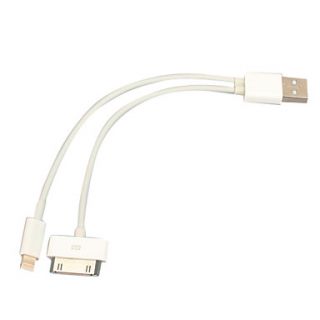 2 in 1 30 Pin and Apple 8 Pin Male to USB Sync and Charge Cable (18CM,White)