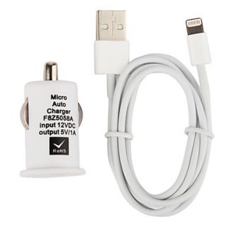 Tiny Car Charger with 100cm Apple 8 Pin Cable for iPhone 5,iPod (DC12 24V,1A)