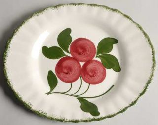 Blue Ridge Southern Pottery Apple Trio 11 Oval Serving Platter, Fine China Dinn