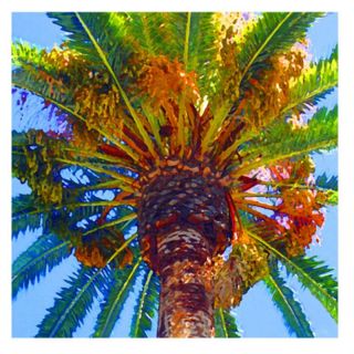 Palm Tree Looking Up Canvas Art by Amy Vangsgard Multicolor   AV008 C3535GG,