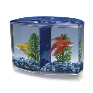 Betta Bow Front 2 Compartment Fish Tank Kit Multicolor   BBT3