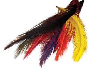 Rhea Intruder Feather