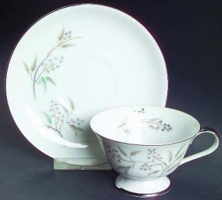 Grace Alyson Footed Cup & Saucer Set, Fine China Dinnerware   Platinum Flowers,