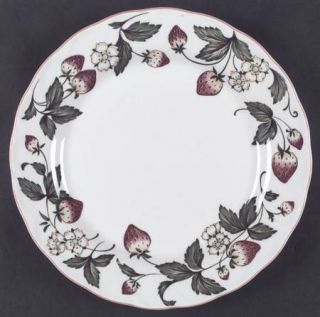 Nikko Spring Valley Dinner Plate, Fine China Dinnerware   Casual Living,Strawber