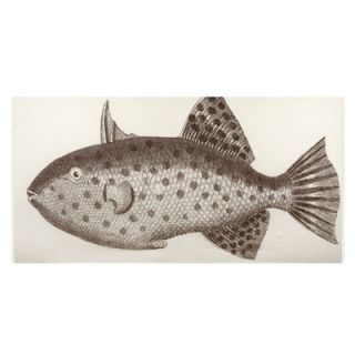 Thomas Paul Big Fish Scarf AC0364 JAV