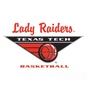 Texas Tech Red Raiders Wincraft 3x4 Ultra Decal