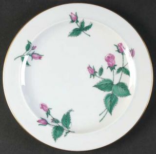 Easterling Radiance Salad Plate, Fine China Dinnerware   Pink Roses, Green Leave