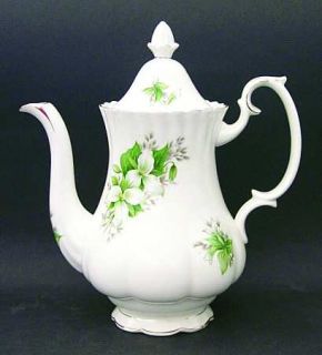 Royal Albert Trillium Coffee Pot & Lid, Fine China Dinnerware   White Flowers,Gr