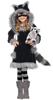 Sweet Raccoon Kids Costume