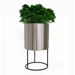 Classic Stainless Steel Cylinder Planter with Metal Base Multicolor   CSSCP  