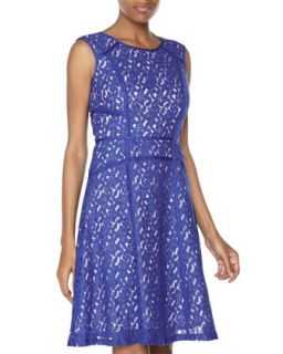 Royal Lace Fit And Flare Dress