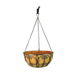 Border Concepts New Orleans Hanging Basket with Liner Multicolor   72847, 14 in.