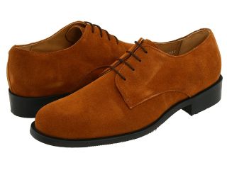 Fitzwell Alejandro Mens Plain Toe Shoes (Brown)