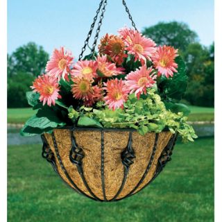 Black Round Coco Liner/Mild Steel Antoinette Hanging Basket Planter   HBANT14 B