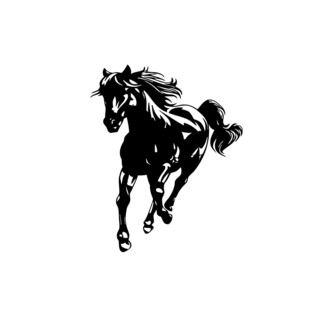 Horse Animal Vinyl Wall Art (BlackEasy to apply You will get the instructionDimensions 22 inches wide x 35 inches long )