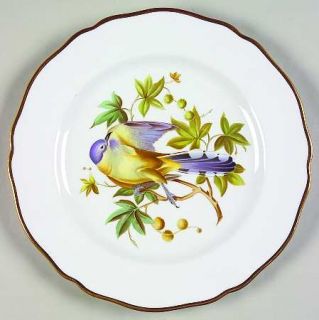 Spode Audubon Birds Luncheon Plate, Fine China Dinnerware   Bone, Various Bird C