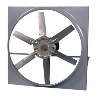 Canarm Direct Drive Wall Fan   12in., 1450 CFM, Model# ADD12T10033B