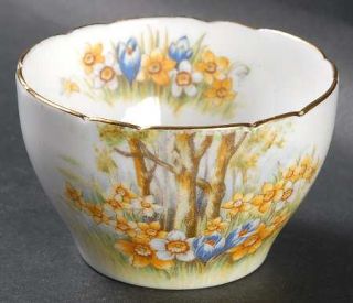 Shelley Daffodil Time Mini Open Sugar Bowl, Fine China Dinnerware   Trees,Yellow