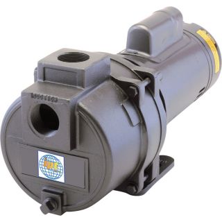 IPT Cast Iron Sprinkler Booster Pump   5500 GPH