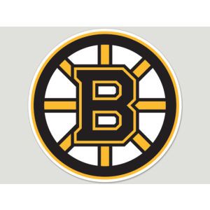 Boston Bruins Wincraft Die Cut Color Decal 8in X 8in